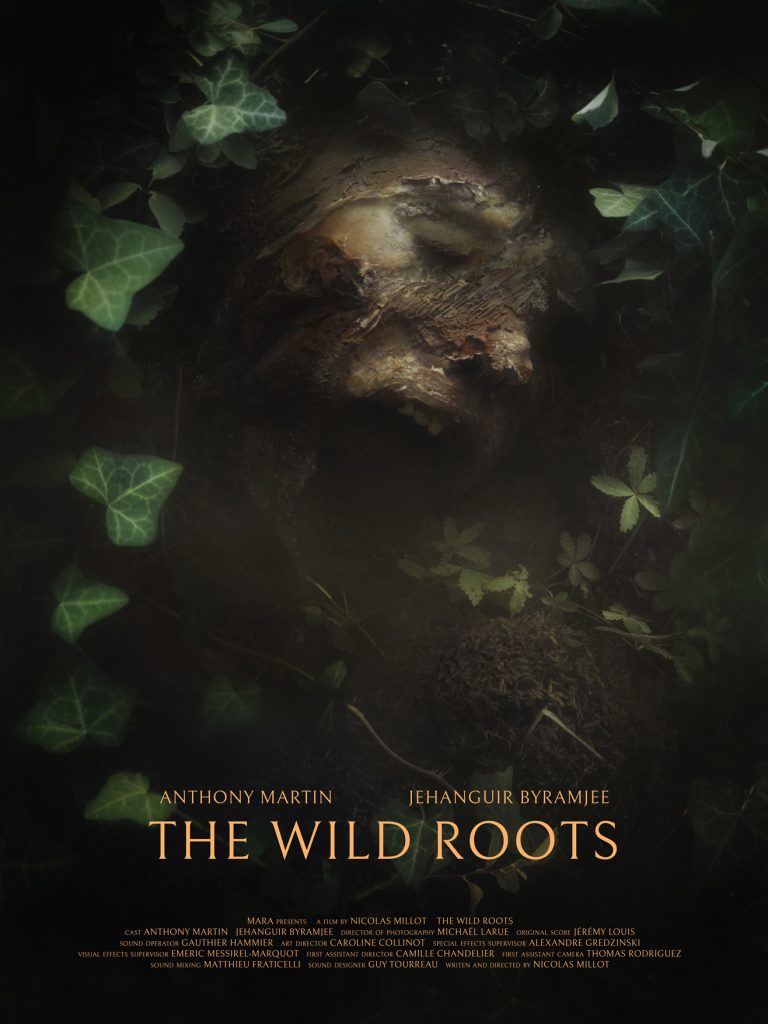 THE WILD ROOTS Movie Poster
