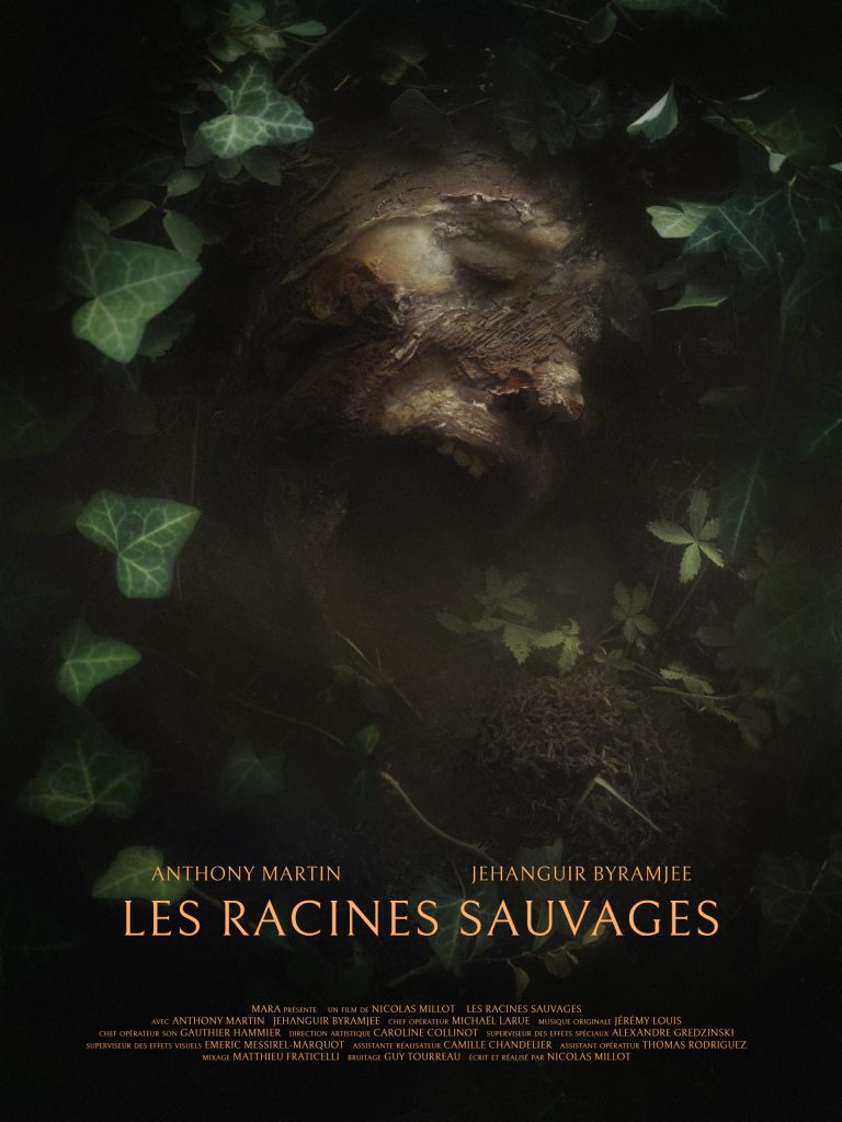 LES RACINES SAUVAGES Movie Poster